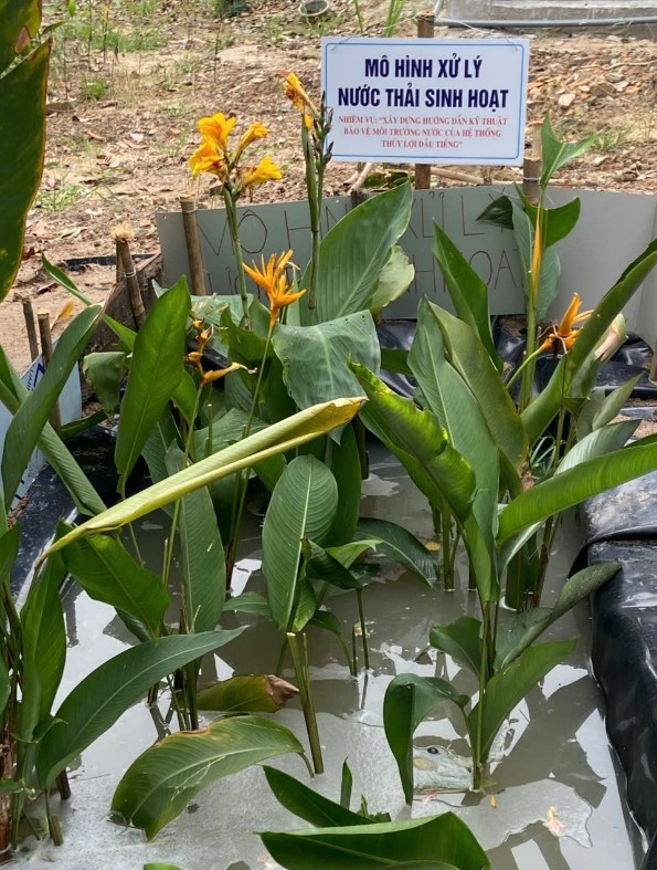 Giải pháp cải thiện chất lượng nước trong hệ thống thủy lợi