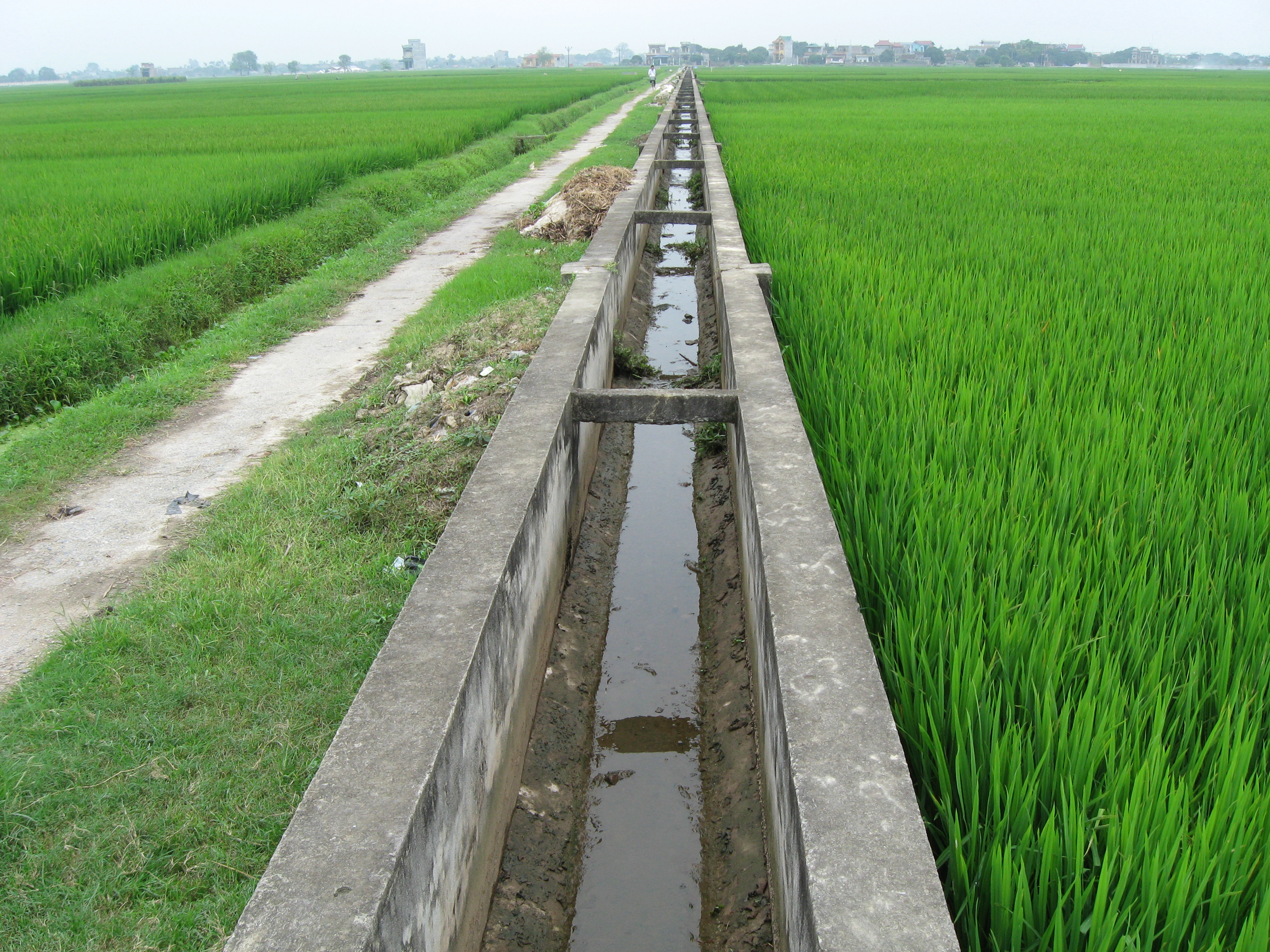 Phát triển thủy lợi, nền tảng vững chắc cho xây dựng nông thôn mới bền vững